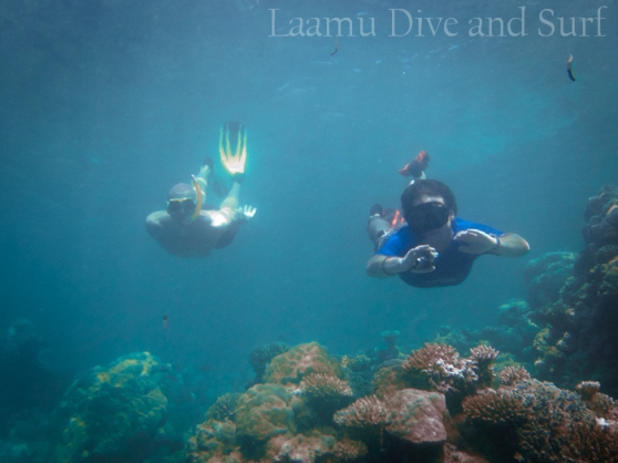 Snorkeling fun at Laamu's Picnic Island